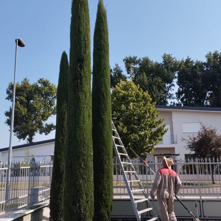 potature-mirandola-modena